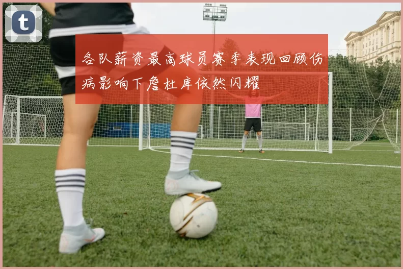 各队薪资最高球员赛季表现回顾伤病影响下詹杜库依然闪耀